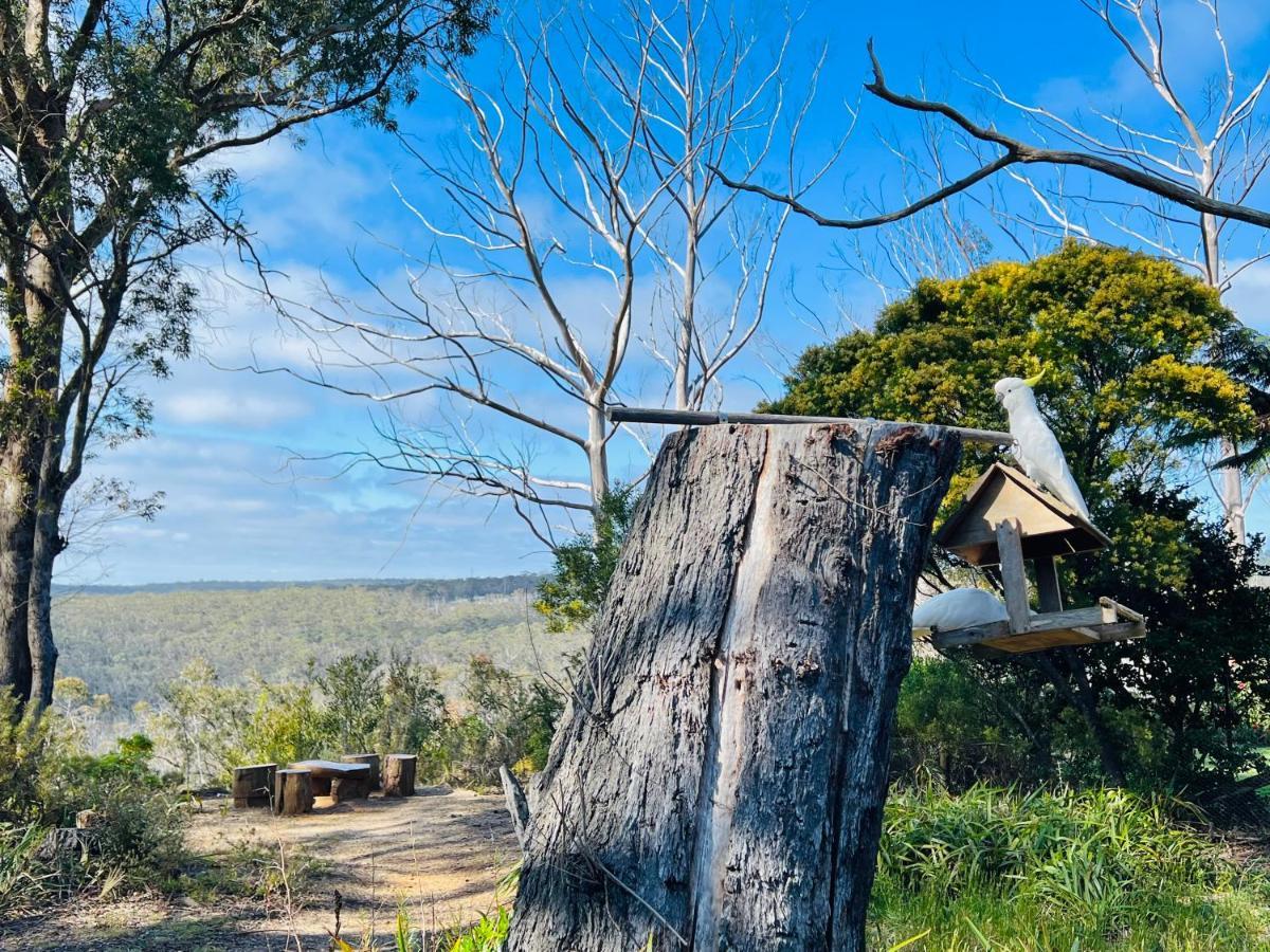 Canyon Cottage Majestic View Blackheath Eksteriør billede