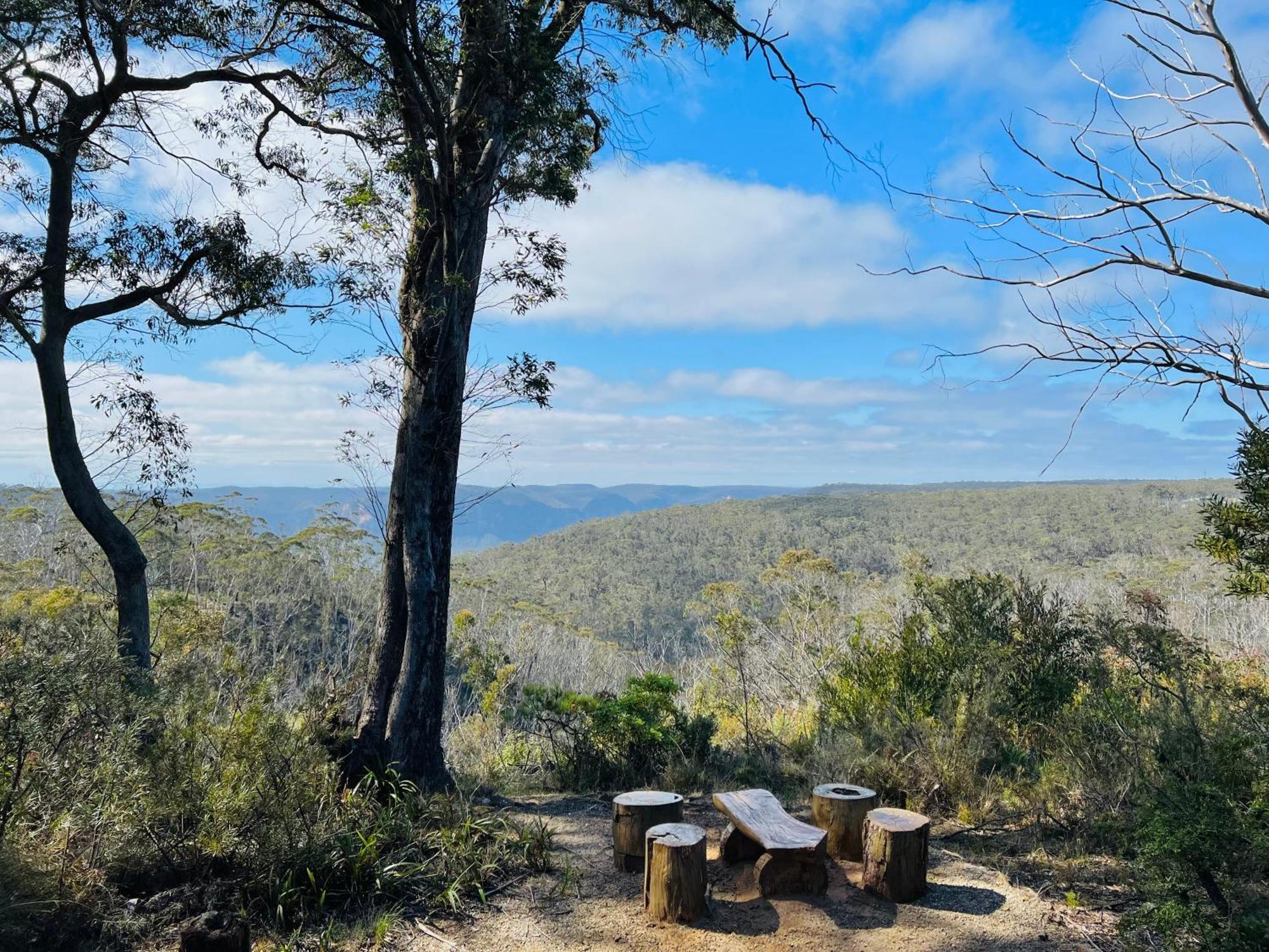 Canyon Cottage Majestic View Blackheath Eksteriør billede
